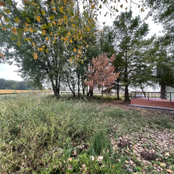 Home Property Management Landscaping