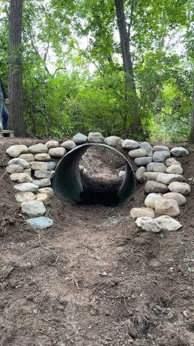ranger-landscaping-pittsboro-in-2026-01-22T161219.492631Z-47201