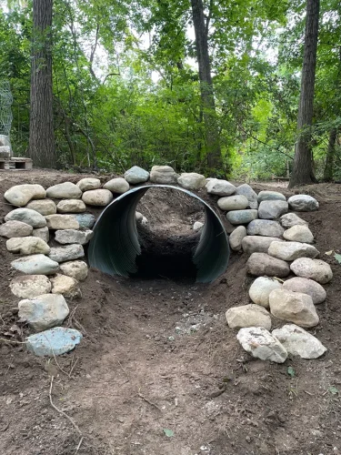 ranger-landscaping-pittsboro-in-2026-01-22T161224.956248Z-13013