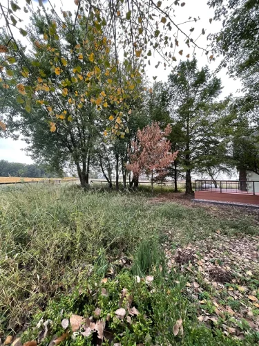 ranger-landscaping-pittsboro-in-2026-01-22T161228.615052Z-61560